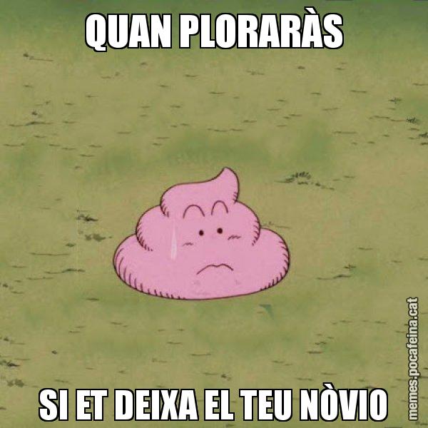 QUAN PLORARÀS SI ET DEIXA EL TEU NÒVIO - Caca