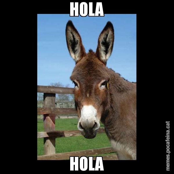 HOLA HOLA - El burro Català