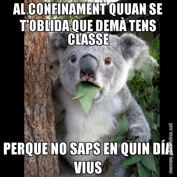 AL CONFINAMENT QUUAN SE T'OBLIDA QUE DEMÀ TENS CLASSE PERQUE NO SAPS EN QUIN DÍA VIUS - Koala Cant Believe It