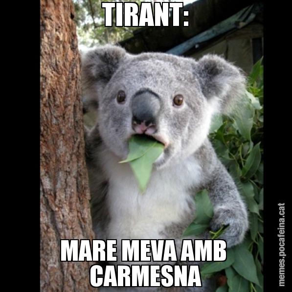 TIRANT: MARE MEVA AMB  CARMESNA - Koala Cant Believe It