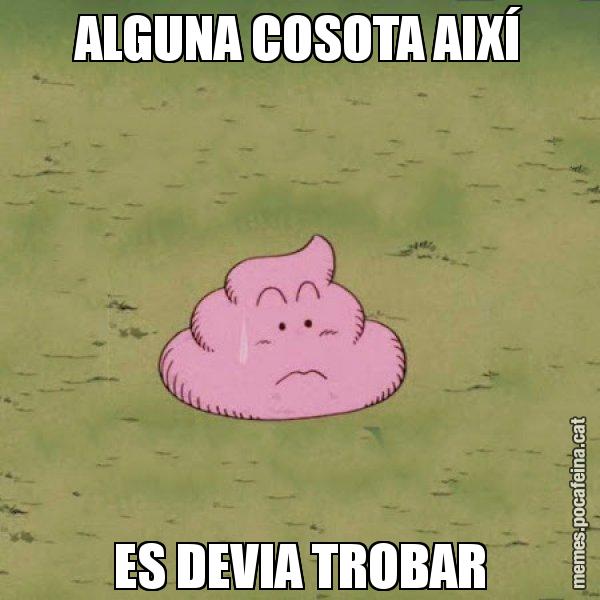 ALGUNA COSOTA AIXÍ ES DEVIA TROBAR - Caca