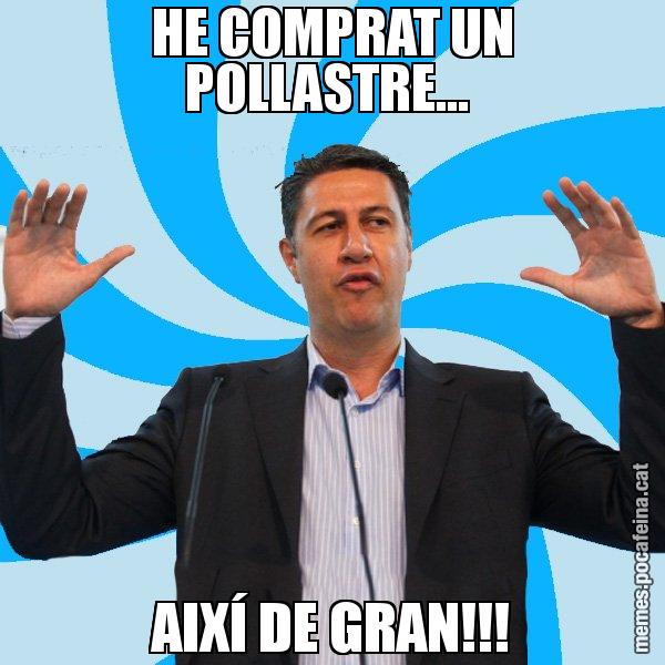 HE COMPRAT UN POLLASTRE...  AIXÍ DE GRAN!!! - Xavier García Albiol - 27S