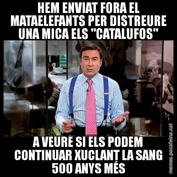 HEM ENVIAT FORA EL MATAELEFANTS PER DISTREURE UNA MICA ELS "CATALUFOS" A VEURE SI ELS PODEM CONTINUAR XUCLANT LA SANG 500 ANYS MÉS - Pedro J