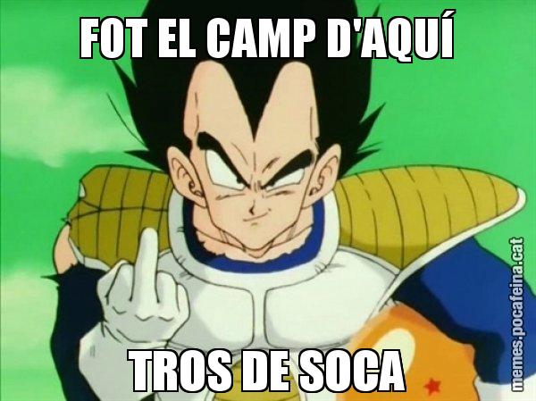 FOT EL CAMP D'AQUÍ TROS DE SOCA - Vegeta