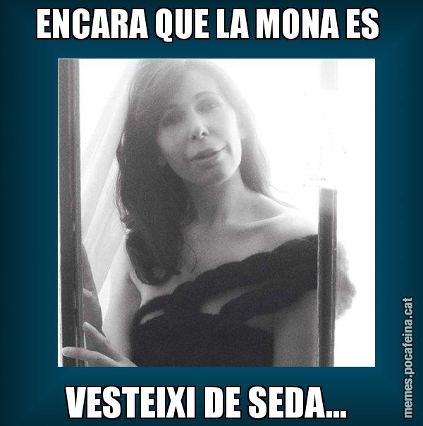 ENCARA QUE LA MONA ES  VESTEIXI DE SEDA... - Alícia Sánchez Mairena