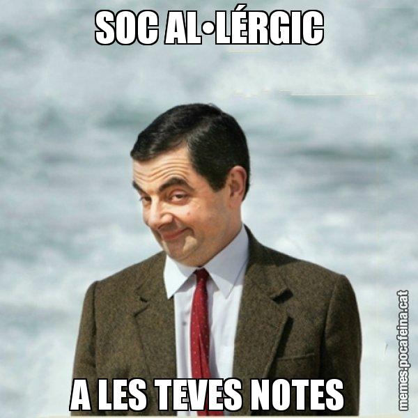 SOC AL•LÉRGIC A LES TEVES NOTES - Mr. Bean