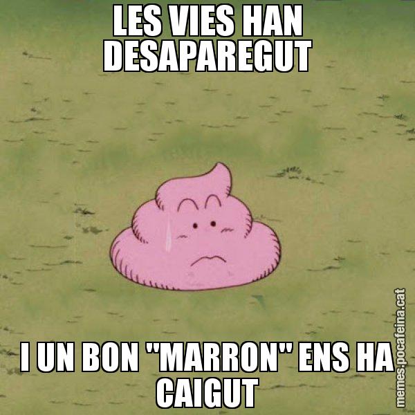 LES VIES HAN DESAPAREGUT I UN BON "MARRON" ENS HA CAIGUT - Caca
