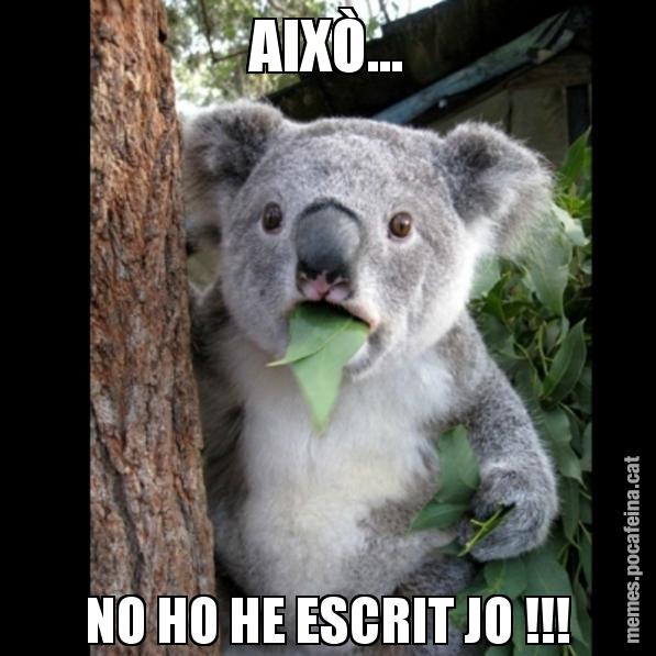 AIXÒ... NO HO HE ESCRIT JO !!! - Koala Cant Believe It