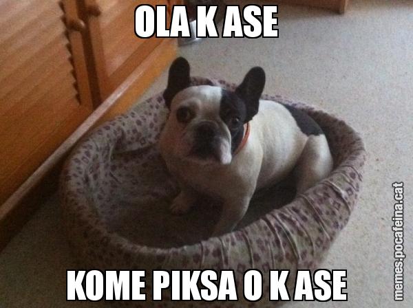 OLA K ASE KOME PIKSA O K ASE