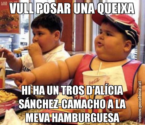 VULL POSAR UNA QUEIXA HI HA UN TROS D'ALÍCIA SÁNCHEZ-CAMACHO A LA MEVA HAMBURGUESA