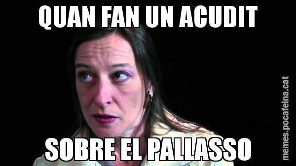 QUAN FAN UN ACUDIT SOBRE EL PALLASSO