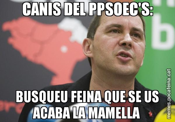 CANIS DEL PPSOEC'S: BUSQUEU FEINA QUE SE US ACABA LA MAMELLA