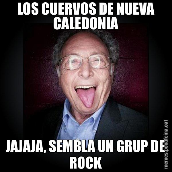 LOS CUERVOS DE NUEVA CALEDONIA JAJAJA, SEMBLA UN GRUP DE ROCK - Punset llengua