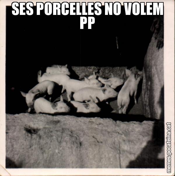 SES PORCELLES NO VOLEM PP