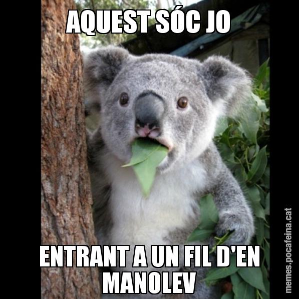 AQUEST SÓC JO ENTRANT A UN FIL D'EN MANOLEV - Koala Cant Believe It