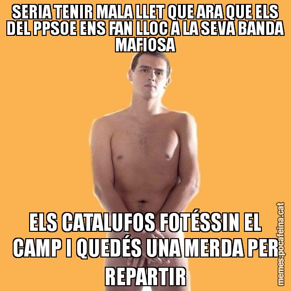 SERIA TENIR MALA LLET QUE ARA QUE ELS DEL PPSOE ENS FAN LLOC A LA SEVA BANDA MAFIOSA ELS CATALUFOS FOTÉSSIN EL CAMP I QUEDÉS UNA MERDA PER REPARTIR - Albert Rivera