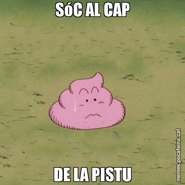 SóC AL CAP DE LA PISTU - Caca