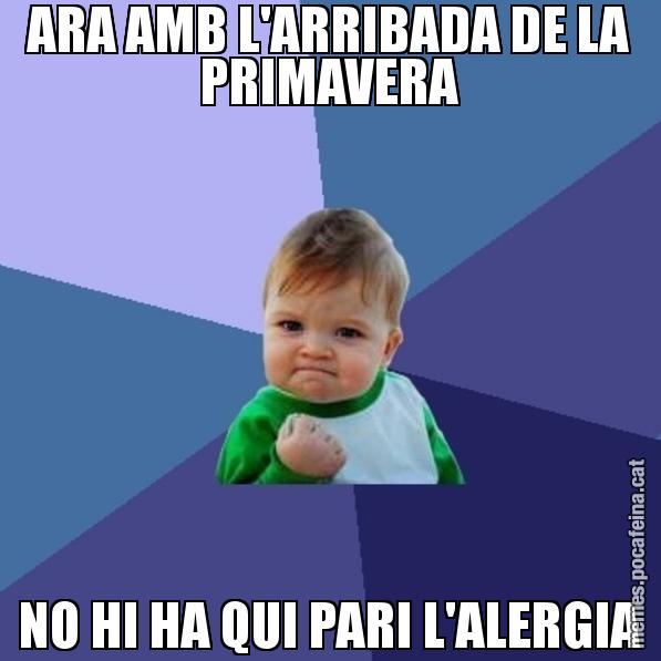 ARA AMB L'ARRIBADA DE LA PRIMAVERA NO HI HA QUI PARI L'ALERGIA - Success Kid