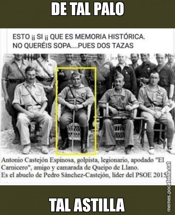 DE TAL PALO TAL ASTILLA