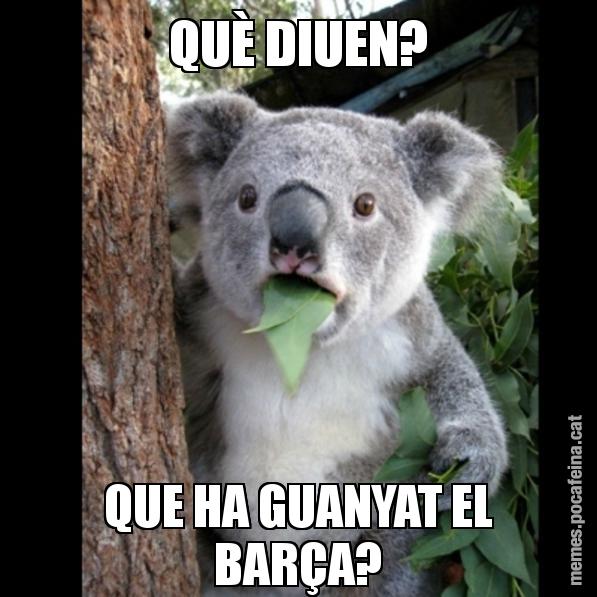 QUÈ DIUEN? QUE HA GUANYAT EL BARÇA? - Koala Cant Believe It