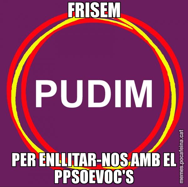 FRISEM PER ENLLITAR-NOS AMB EL PPSOEVOC'S
