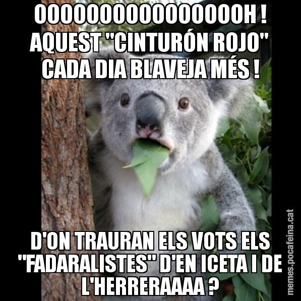 OOOOOOOOOOOOOOOOH ! AQUEST "CINTURÓN ROJO" CADA DIA BLAVEJA MÉS ! D'ON TRAURAN ELS VOTS ELS "FADARALISTES" D'EN ICETA I DE L'HERRERAAAA ? - Koala Cant Believe It