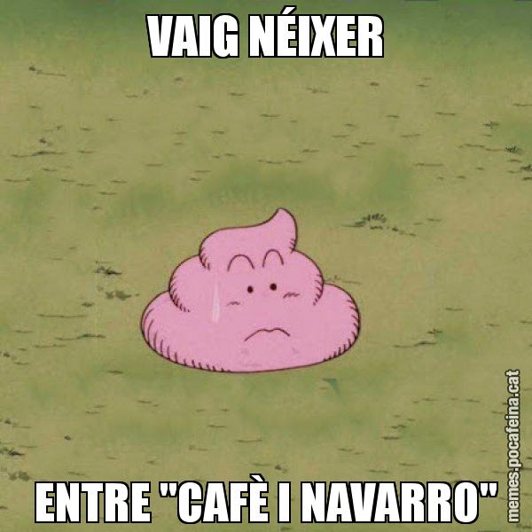 VAIG NÉIXER ENTRE "CAFÈ I NAVARRO" - Caca