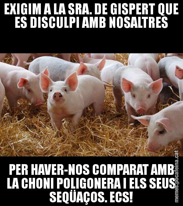 EXIGIM A LA SRA. DE GISPERT QUE ES DISCULPI AMB NOSALTRES PER HAVER-NOS COMPARAT AMB LA CHONI POLIGONERA I ELS SEUS SEQÜAÇOS. ECS!