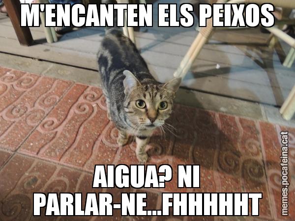 M'ENCANTEN ELS PEIXOS AIGUA? NI PARLAR-NE...FHHHHHT