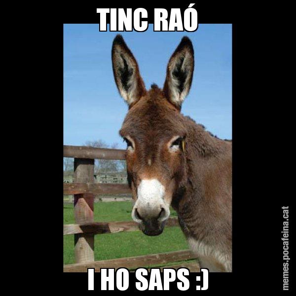 TINC RAÓ I HO SAPS :) - El burro Català