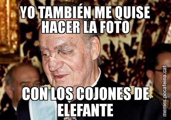 YO TAMBIÉN ME QUISE HACER LA FOTO CON LOS COJONES DE ELEFANTE