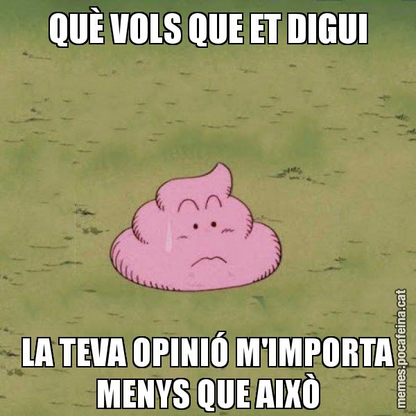 QUÈ VOLS QUE ET DIGUI LA TEVA OPINIÓ M'IMPORTA MENYS QUE AIXÒ - Caca
