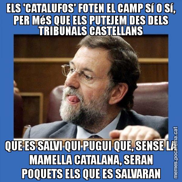 ELS 'CATALUFOS' FOTEN EL CAMP Sí O Sí, PER MéS QUE ELS PUTEJEM DES DELS TRIBUNALS CASTELLANS QUE ES SALVI QUI PUGUI QUE, SENSE LA MAMELLA CATALANA, SERAN POQUETS ELS QUE ES SALVARAN - Mmmmmariano Rajoy
