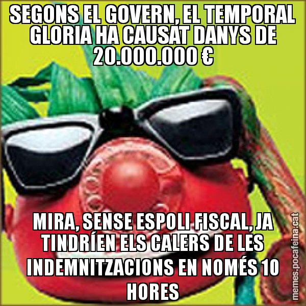 SEGONS EL GOVERN, EL TEMPORAL GLORIA HA CAUSAT DANYS DE 20.000.000 € MIRA, SENSE ESPOLI FISCAL, JA TINDRÍEN ELS CALERS DE LES INDEMNITZACIONS EN NOMÉS 10 HORES - Tomàtic