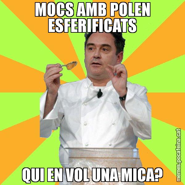 MOCS AMB POLEN ESFERIFICATS QUI EN VOL UNA MICA? - Ferran Adrià