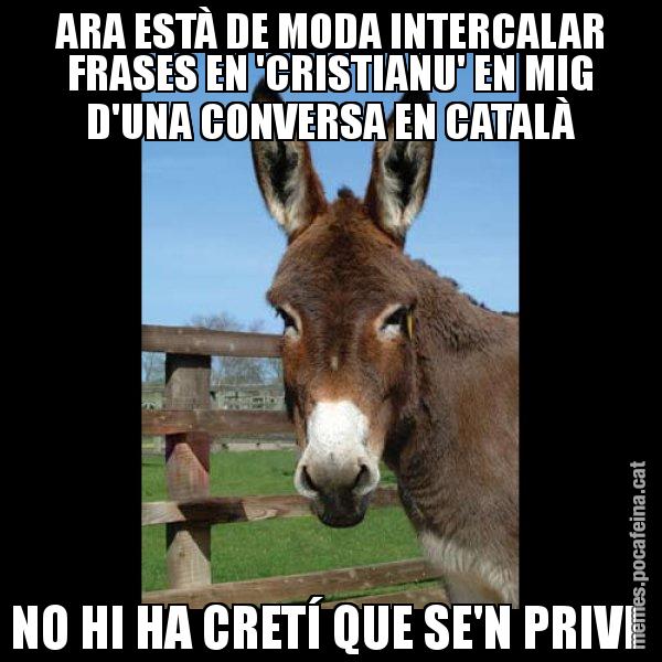 ARA ESTÀ DE MODA INTERCALAR FRASES EN 'CRISTIANU' EN MIG D'UNA CONVERSA EN CATALÀ NO HI HA CRETÍ QUE SE'N PRIVI - El burro Català