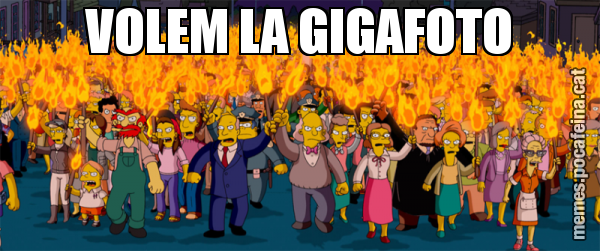 VOLEM LA GIGAFOTO