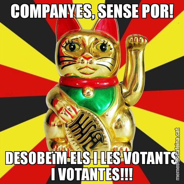 COMPANYES, SENSE POR! DESOBEïM ELS I LES VOTANTS I VOTANTES!!! - El Gat de la Cup - 27S