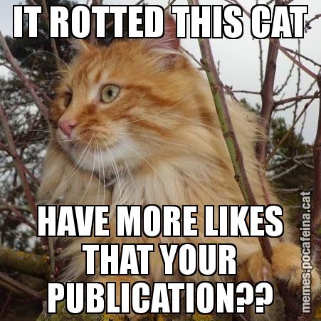 IT ROTTED THIS CAT HAVE MORE LIKES THAT YOUR PUBLICATION??