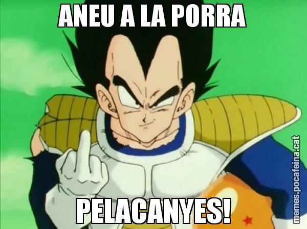 ANEU A LA PORRA PELACANYES! - Vegeta
