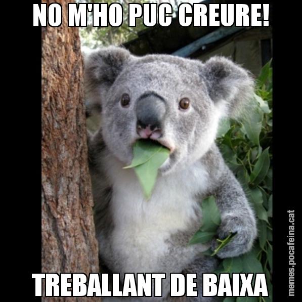 NO M'HO PUC CREURE! TREBALLANT DE BAIXA - Koala Cant Believe It
