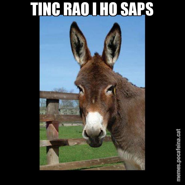 TINC RAO I HO SAPS - El burro Català