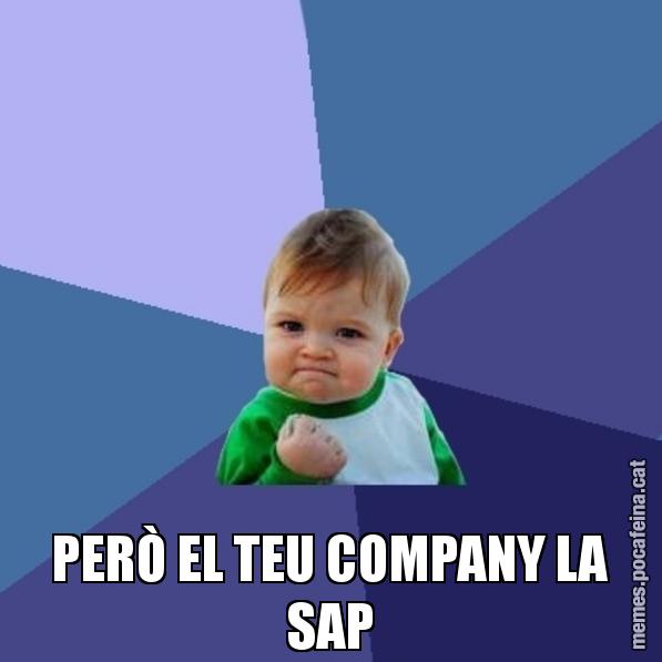 PERÒ EL TEU COMPANY LA SAP - Success Kid