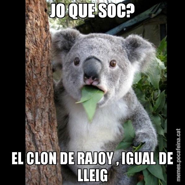 JO QUE SOC? EL CLON DE RAJOY , IGUAL DE LLEIG - Koala Cant Believe It