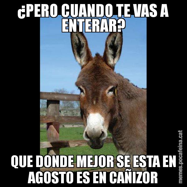 ¿PERO CUANDO TE VAS A ENTERAR? QUE DONDE MEJOR SE ESTA EN AGOSTO ES EN CAÑIZOR - El burro Català