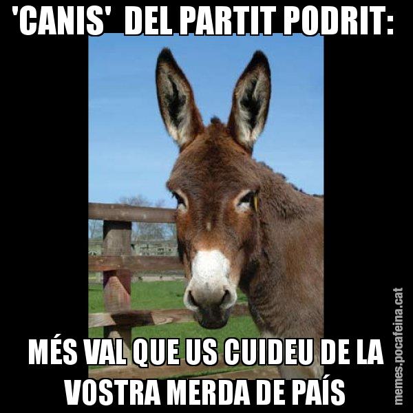 'CANIS'  DEL PARTIT PODRIT:  MÉS VAL QUE US CUIDEU DE LA VOSTRA MERDA DE PAÍS - El burro Català