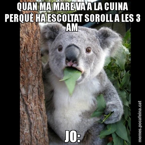 QUAN MA MARE VA A LA CUINA PERQUÈ HA ESCOLTAT SOROLL A LES 3 AM JO: - Koala Cant Believe It