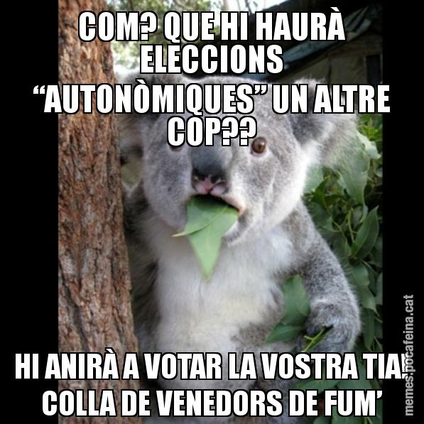 COM? QUE HI HAURÀ ELECCIONS “AUTONÒMIQUES” UN ALTRE COP?? HI ANIRÀ A VOTAR LA VOSTRA TIA! COLLA DE VENEDORS DE FUM’ - Koala Cant Believe It