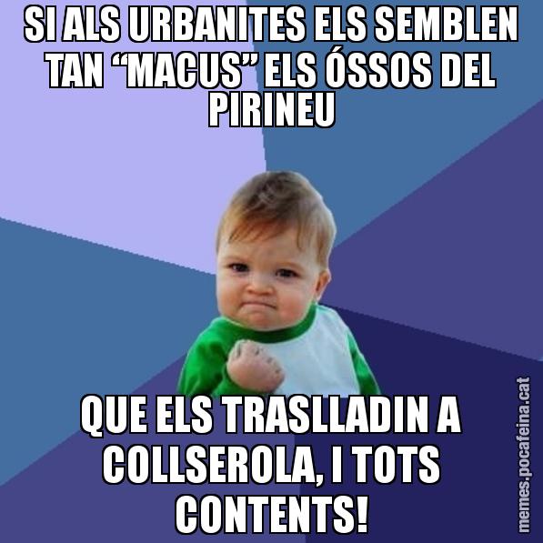 SI ALS URBANITES ELS SEMBLEN TAN “MACUS” ELS ÓSSOS DEL PIRINEU QUE ELS TRASLLADIN A COLLSEROLA, I TOTS CONTENTS! - Success Kid
