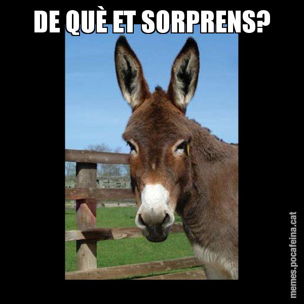 DE QUÈ ET SORPRENS? - El burro Català